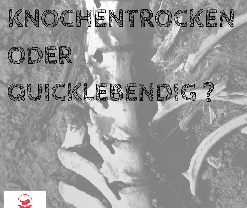 KNOCHENTROCKEN ODER QUICKLEBENDIG ?