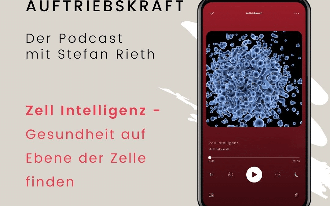 Zell Intelligenz – Eine osteopathische Wahrnehmungsreise